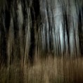 /album/e-x-p-e/img-5254-1-jpg/